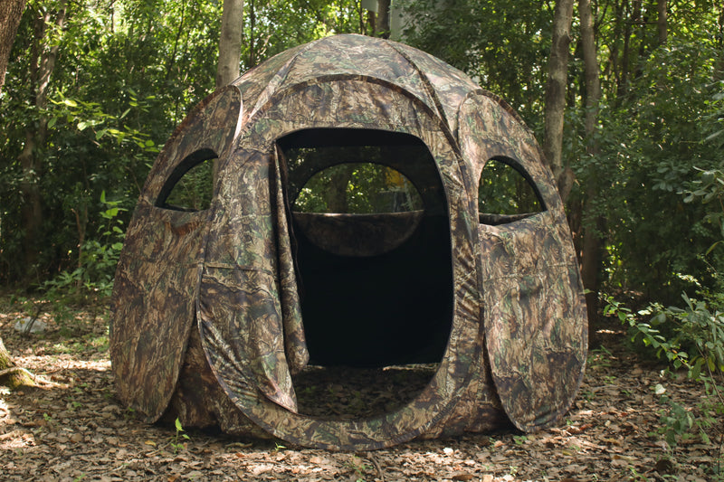 The Perfect Camouflage: Blend Seamlessly with Nature