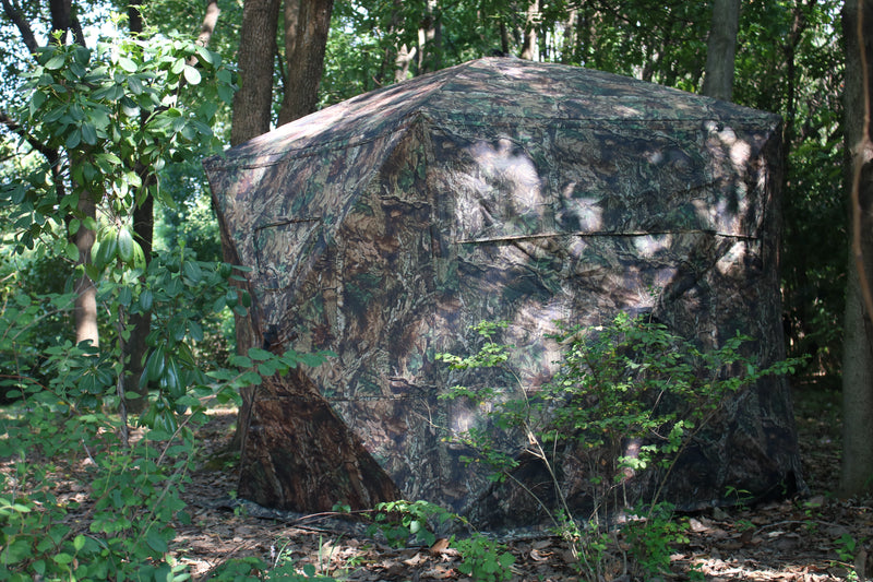 The Perfect Camouflage: Blend Seamlessly with Nature